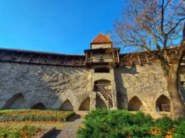 Toompea-Burg